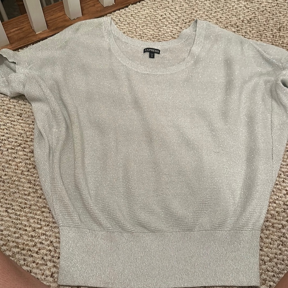 Light grey express short sleeve sweater